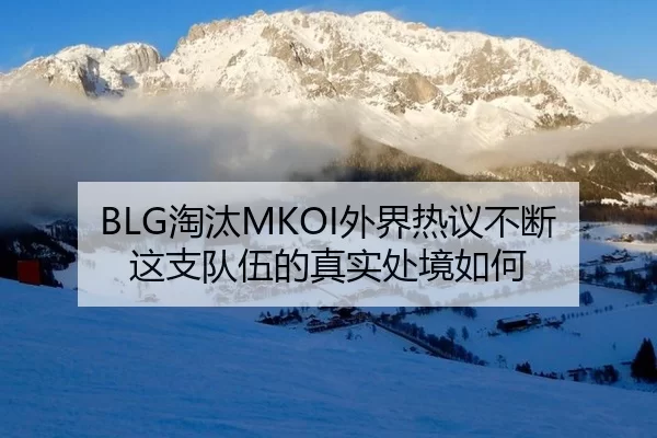 BLG淘汰MKOI外界热议不断 这支队伍的真实处境如何